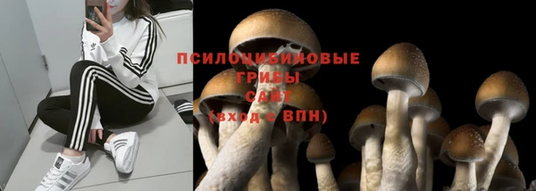 меф Медвежьегорск