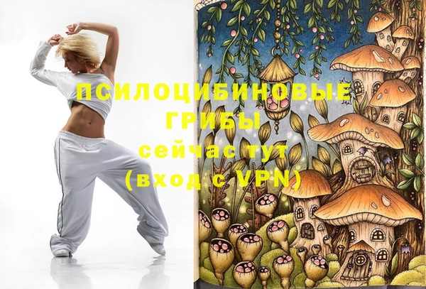меф Медвежьегорск